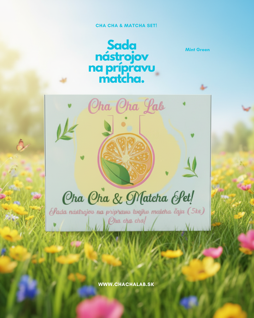 ChaChaLab - Set nástrojov na prípravu matcha čaju (5ks) - Mint Green (Chawan / miska 500 ml)