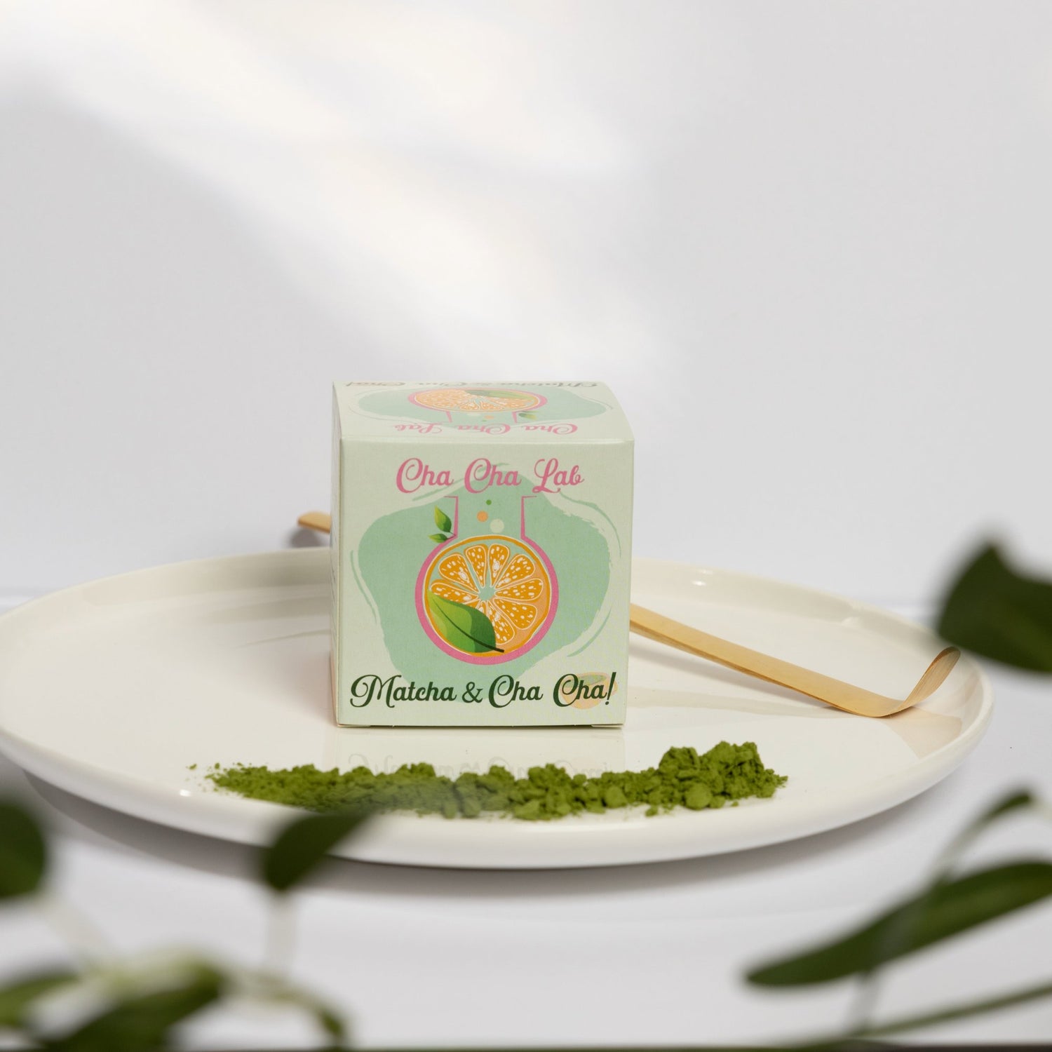Ceremoniálna matcha – zelený čaj v prášku (Camellia sinensis)